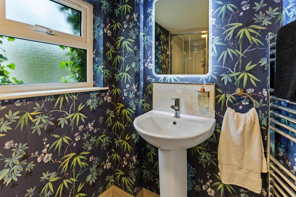 ホテル Hestia House ロンドンデリー エクステリア 写真